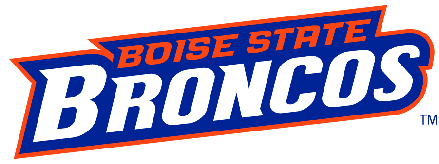 Boise State Broncos 2002-2012 Wordmark Logo v8 diy iron on heat transfer